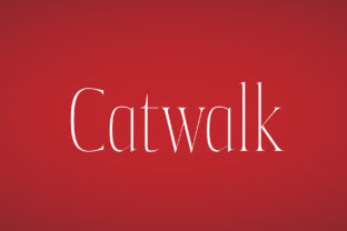 Catwalk: A Display Font That Elevates Small Business Branding