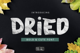 Dried: A Bold Display Font for Web Designers and Digital Creators